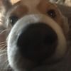 jayczar35